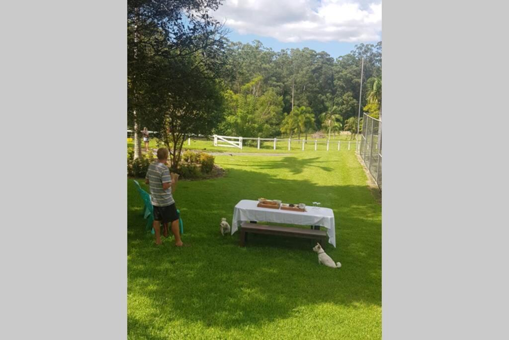 Cabin Country Retreat Paskins Farm Palmwoods Esterno foto