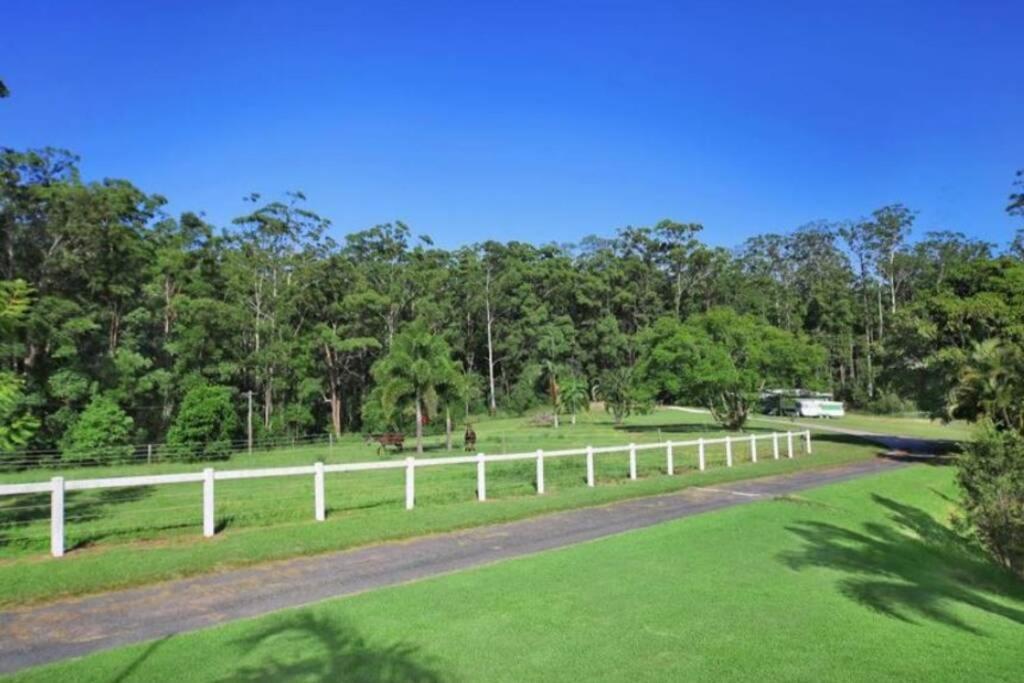 Cabin Country Retreat Paskins Farm Palmwoods Esterno foto